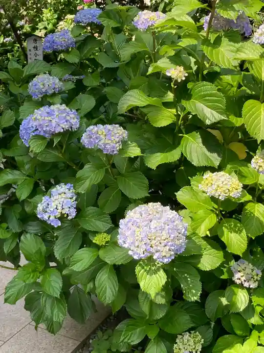 佛日庵(神奈川県)