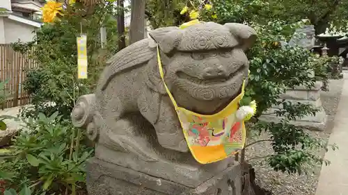 菊田神社の狛犬