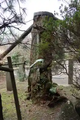 密蔵院(愛知県)