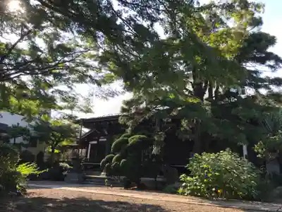 玉林寺の本殿・本堂