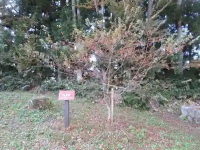 普門院(山形県)