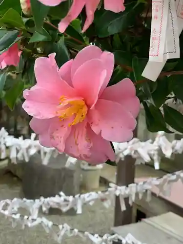 平塚神社の自然