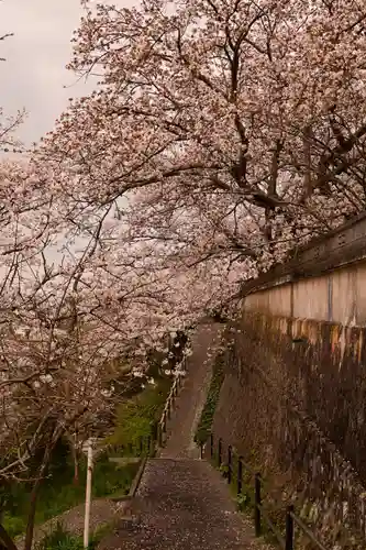 瑞龍寺（沖浦観音）(愛媛県)