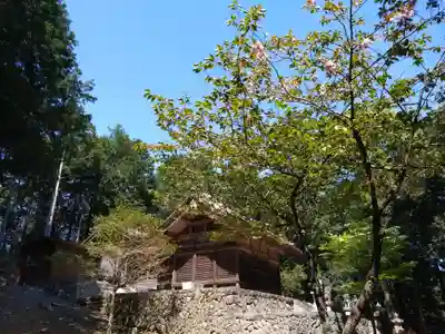 津島神社(愛知県)