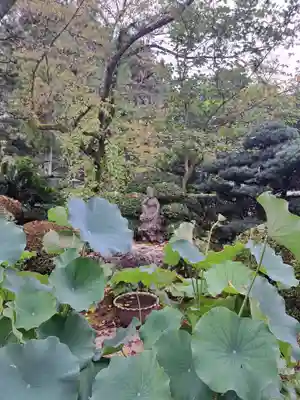 龍潭寺(静岡県)