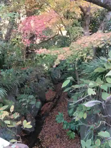 明月院(神奈川県)