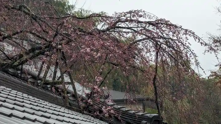 十輪寺(京都府)