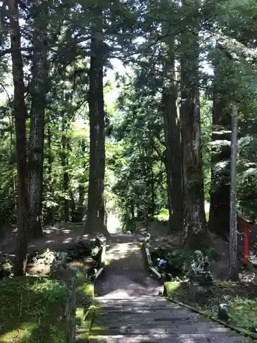 金櫻神社の景色