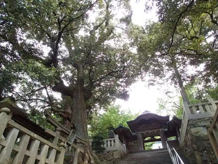 服部神社の山門・神門