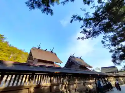 出雲大社(島根県)