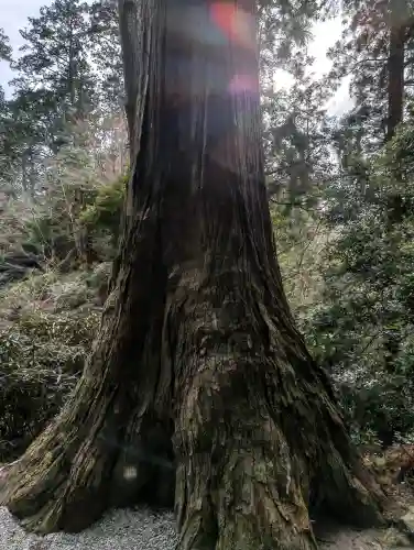室生寺の{uncategorized: "未分類", other: "その他", undefined: "問題あり", building: "その他建物", grave: "お墓", sacred_gate: "鳥居", guardian: "狛犬", statue: "像", buddha: "仏像", history: "歴史", nature: "自然", garden: "庭園", animal: "動物", pagoda: "塔", temizu: "手水舎", mountain_gate: "山門・神門", sanctuary: "本殿・本堂", subordinate: "末社・摂社", art: "芸術", scenery: "景色", jizo: "地蔵", ema: "絵馬", goshuin: "御朱印", omikuji: "おみくじ", items: "授与品その他", amulet: "お守り", goshuincho: "御朱印帳", eats: "食事", festival: "お祭り", votive_dance: "神楽", shichigosan: "七五三参", wedding: "結婚式", experience: "体験その他", initially: "初詣", around: "周辺", anti_infection: "感染症対策"}