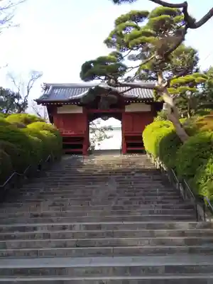 護国寺の山門・神門