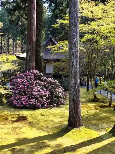 三千院門跡(京都府)
