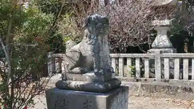 中津神社の狛犬