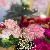 札幌諏訪神社の手水舎