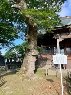 実成寺(福島県)