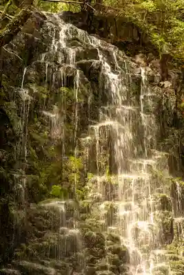 瀧神社（都農神社末社（奥宮））(宮崎県)