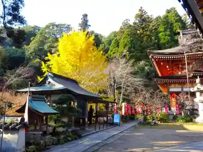 宝厳寺(滋賀県)