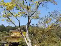 鹿苑寺(金閣寺)(京都府)