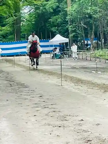 賀茂別雷神社（上賀茂神社）(京都府)