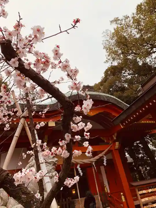 自由が丘熊野神社の自然