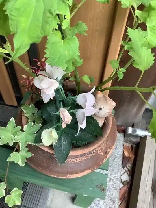 安養寺(岐阜県)