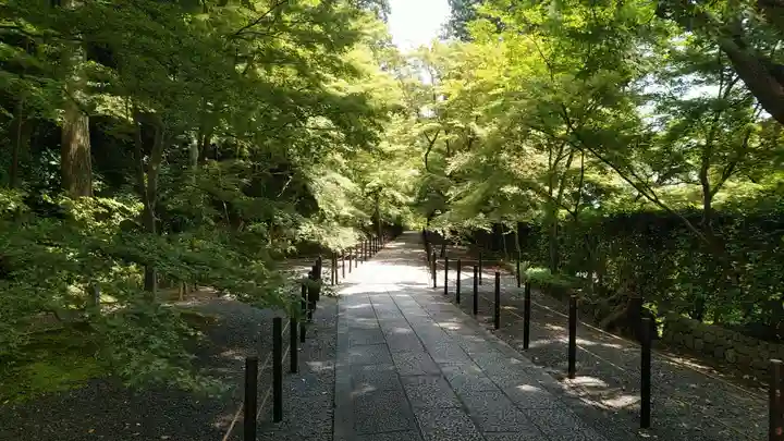 光明寺(粟生光明寺)のその他建物