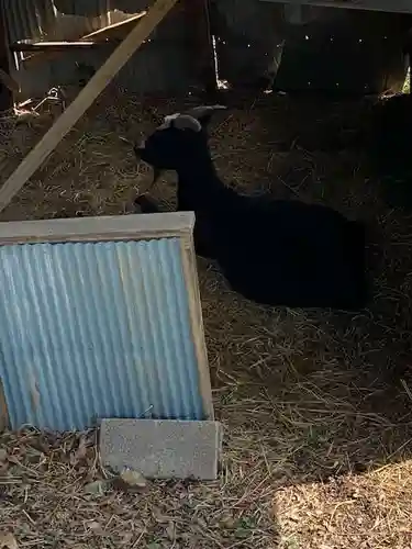 賀茂別雷神社(栃木県)