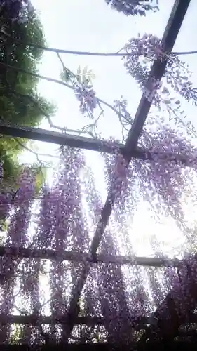 秋葉神社(愛知県)