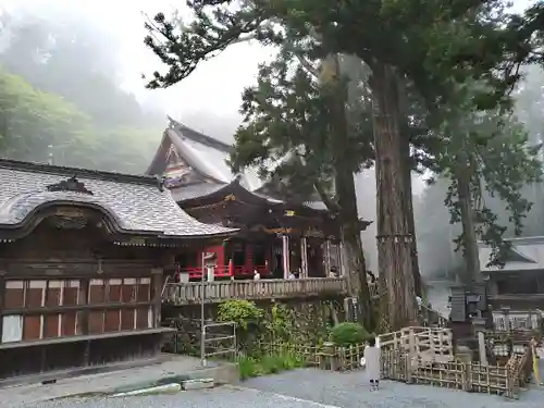 三峯神社(埼玉県)