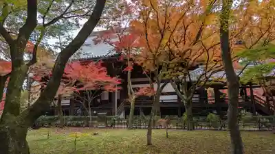 真正極楽寺(真如堂)(京都府)