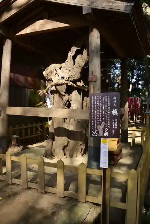 鶴嶺八幡宮(神奈川県)