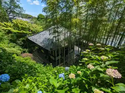 長谷寺(神奈川県)