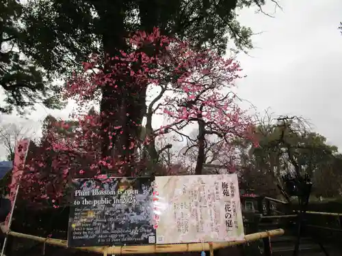 北野天満宮(京都府)