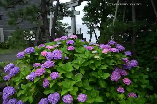 琵琶島神社(神奈川県)