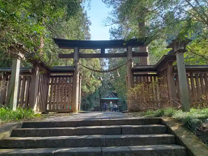 武蔵二宮 金鑚神社(埼玉県)