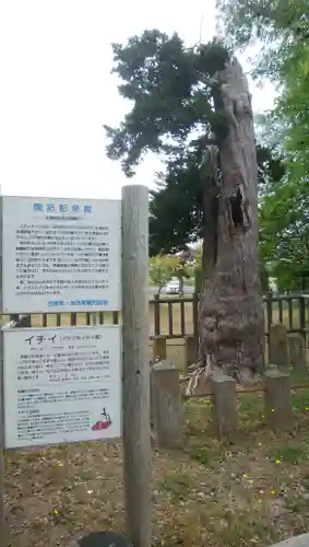 当別神社の自然