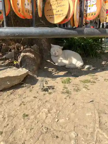 今戸神社(東京都)