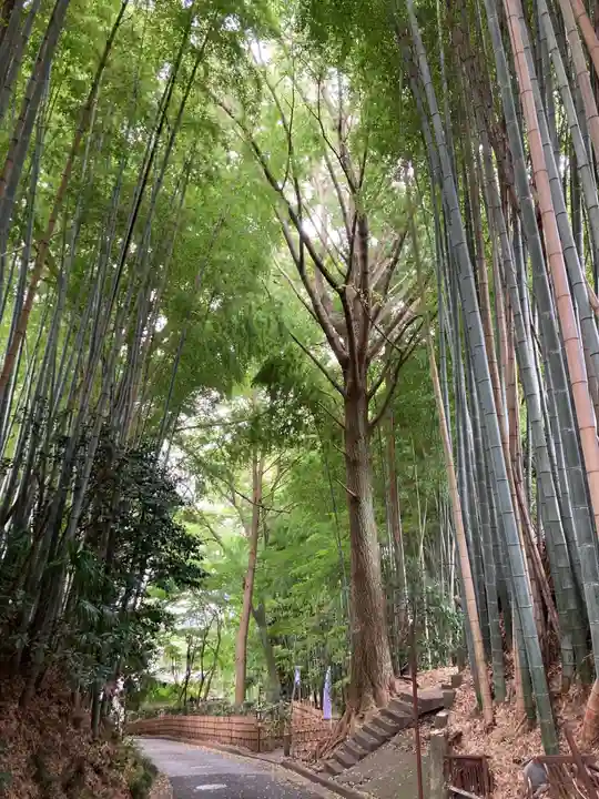 水戸愛宕神社(茨城県)