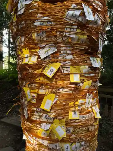 下野 星宮神社(栃木県)
