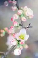 浄土寺(兵庫県)