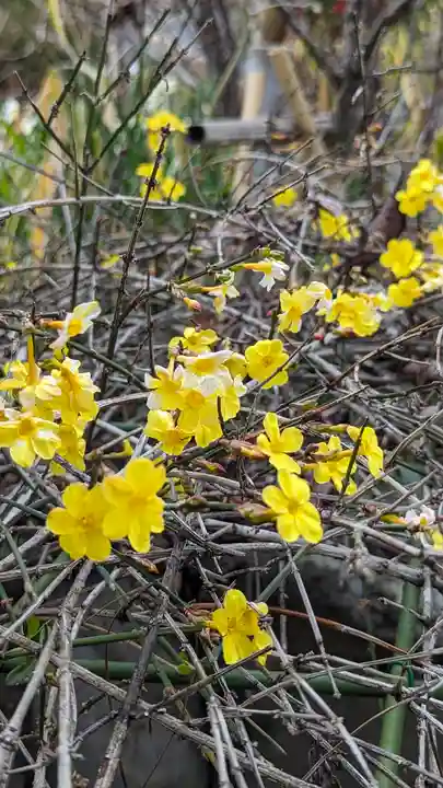 惠心院(京都府)