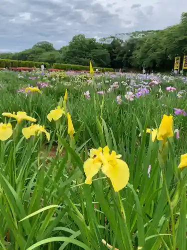 金津神社(福井県)