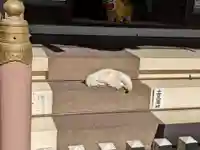 今戸神社の動物