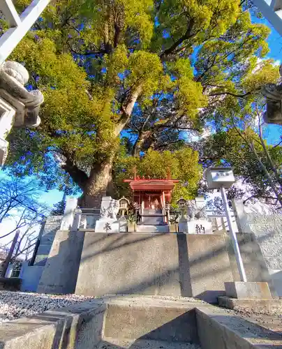 宮川神社（宮川町）の本殿・本堂