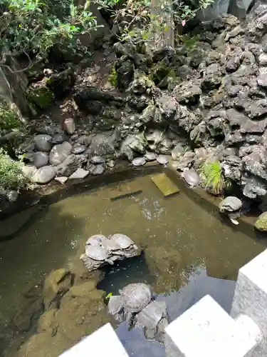 成田山川越別院(埼玉県)