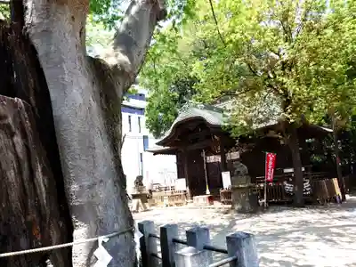阿邪訶根神社(福島県)