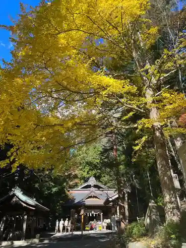 新倉富士浅間神社の本殿