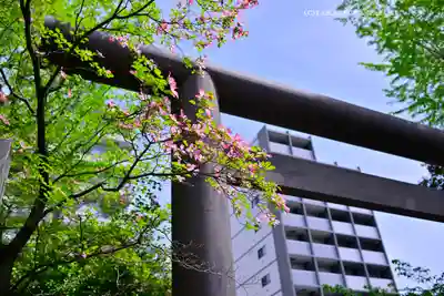 亀戸 香取神社(東京都)