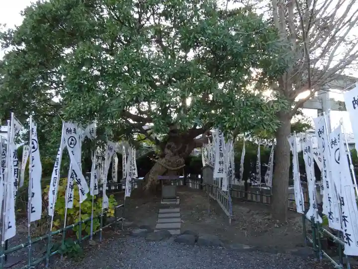 龍口明神社の自然